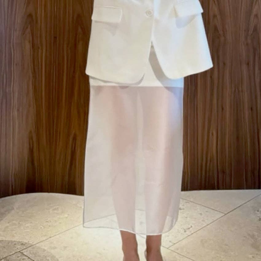 High Waist Sheer Maxi Skirt