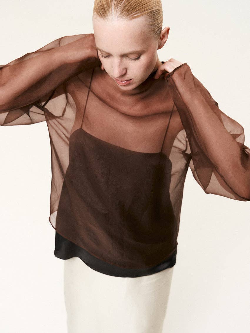Sheer Mesh Long Sleeve Top
